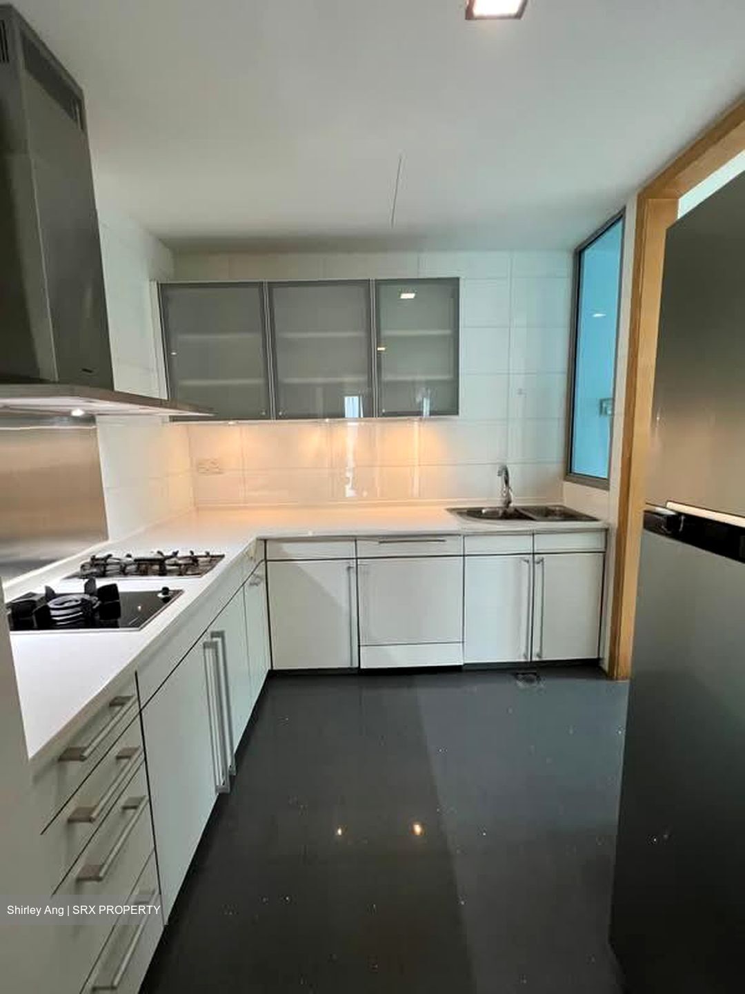 Cairnhill Crest (D9), Condominium #556001221